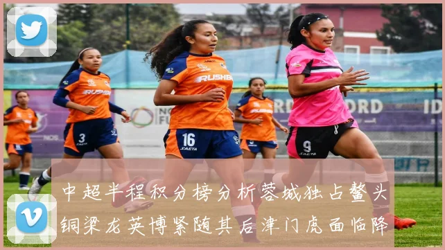 中超半程积分榜分析蓉城独占鳌头铜梁龙英博紧随其后津门虎面临降级危机