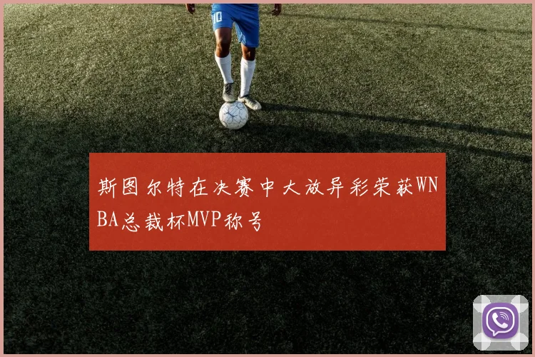 斯图尔特在决赛中大放异彩荣获WNBA总裁杯MVP称号