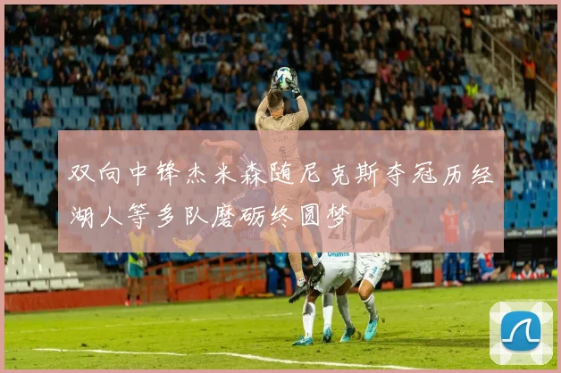 双向中锋杰米森随尼克斯夺冠历经湖人等多队磨砺终圆梦